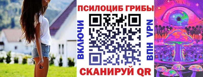 даркнет телеграм  OMG ССЫЛКА  Грайворон  Псилоцибиновые грибы GOLDEN TEACHER 